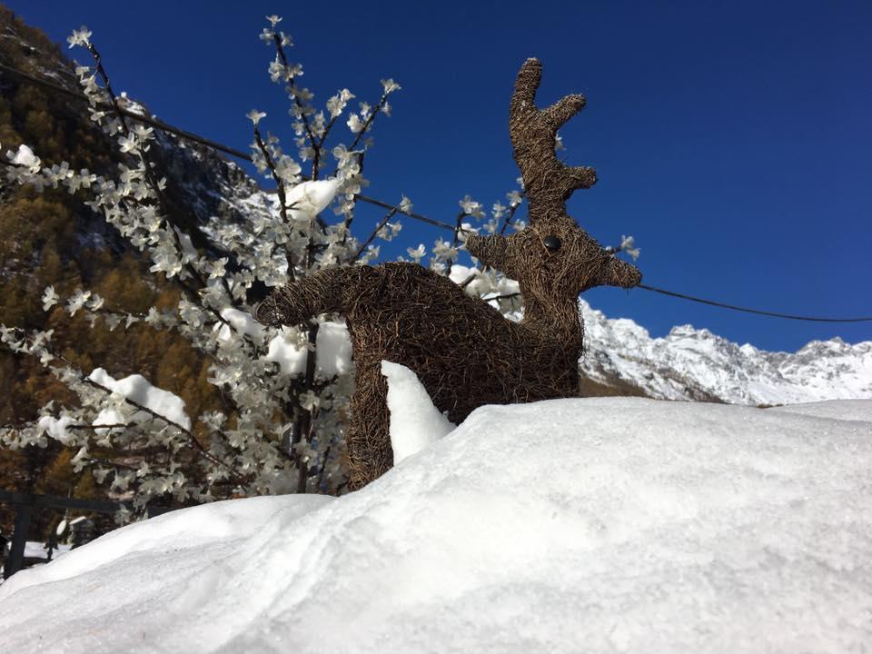 B&B Lepetitnid Valtournenche Esterno foto
